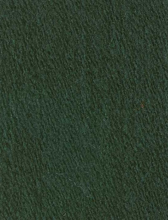 NORTHERN WORSTED 00823