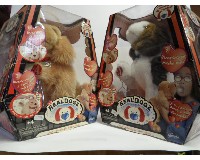 HIDEGORRU KUTYA HIDEGORRU KUTYA