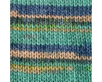 BRAVO COLOR 02119 BRAVO COLOR 02119